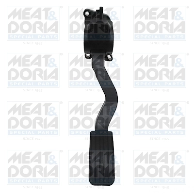 Accelerator Pedal Unit